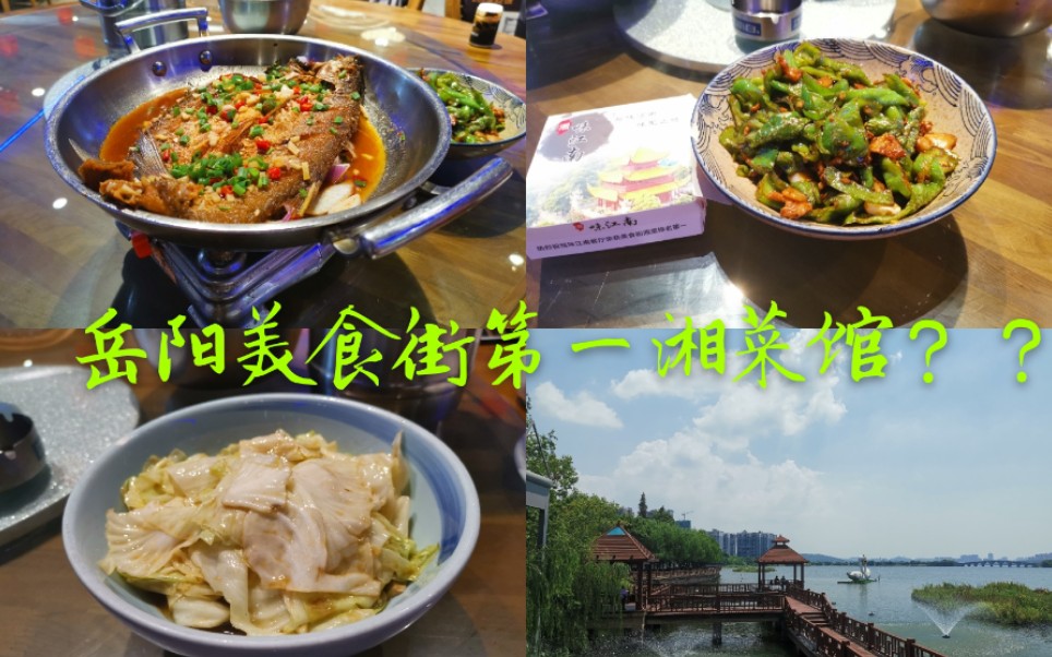 岳阳探店:湘味江南,美食街排行第一的湘菜馆,在洞庭湖边一定要吃鱼哇哔哩哔哩bilibili