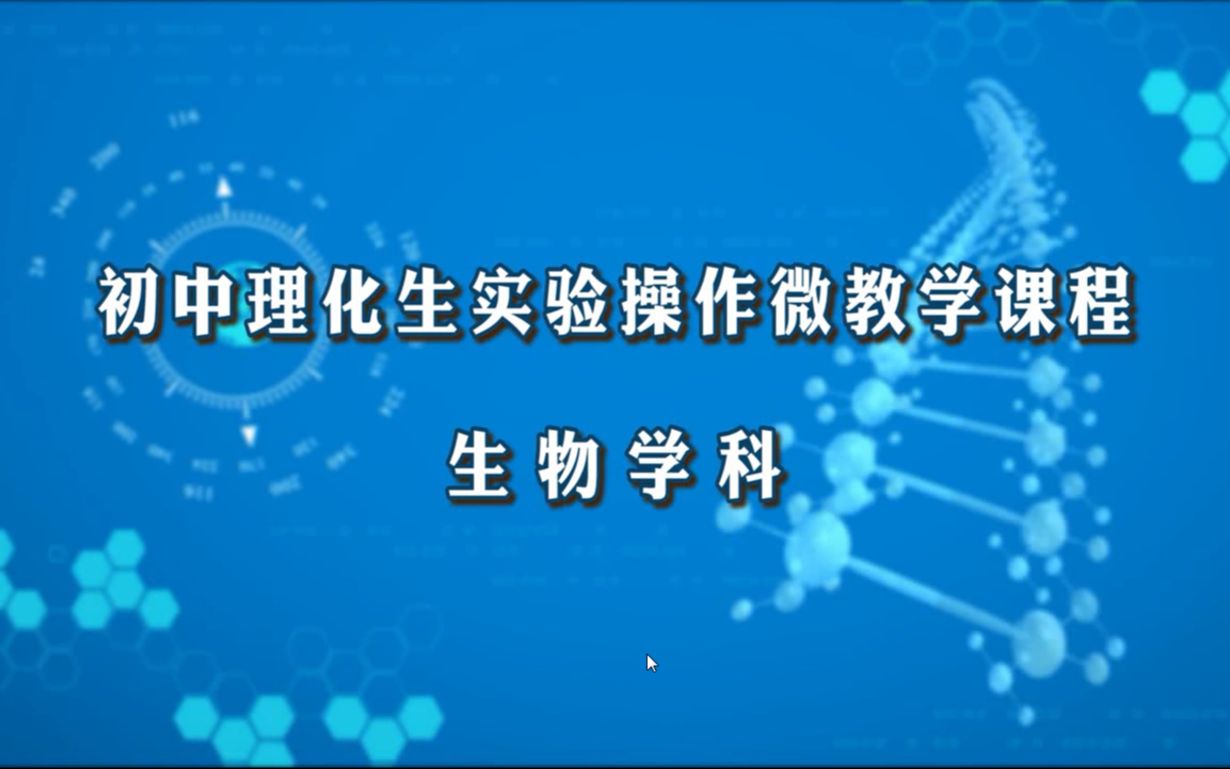 试题 12 观察叶片横切面的永久切片哔哩哔哩bilibili