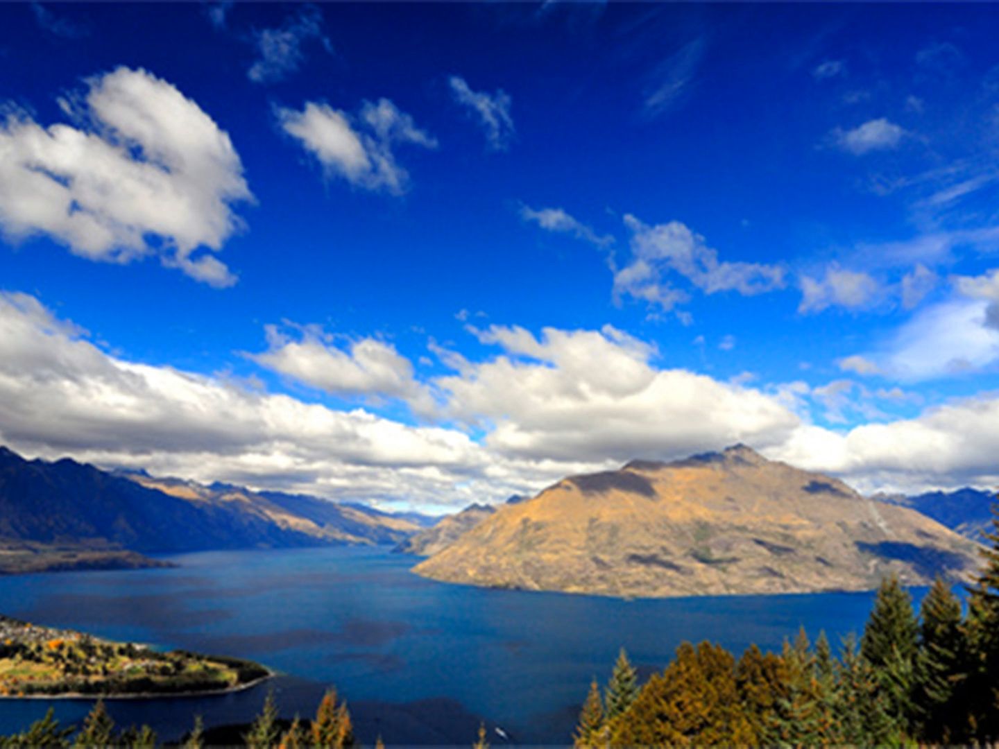 宝应水绿山青的风景