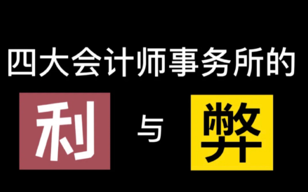 四大会计师事务所的 利与弊哔哩哔哩bilibili