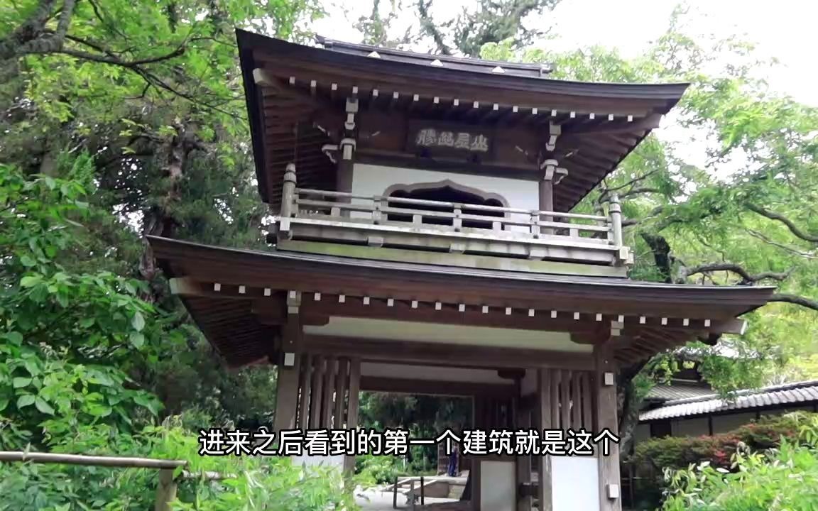 【漫步日本】有布袋和尚的寺院,镰仓五山第四位,金宝山净智寺哔哩哔哩bilibili