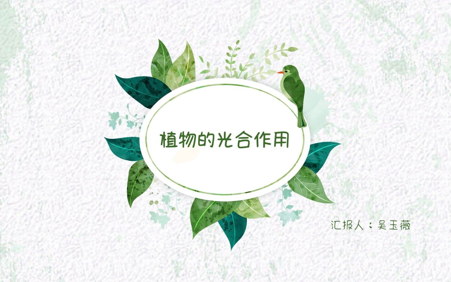 伴学计划|科学知识类|生物学|植物的光合作用哔哩哔哩bilibili