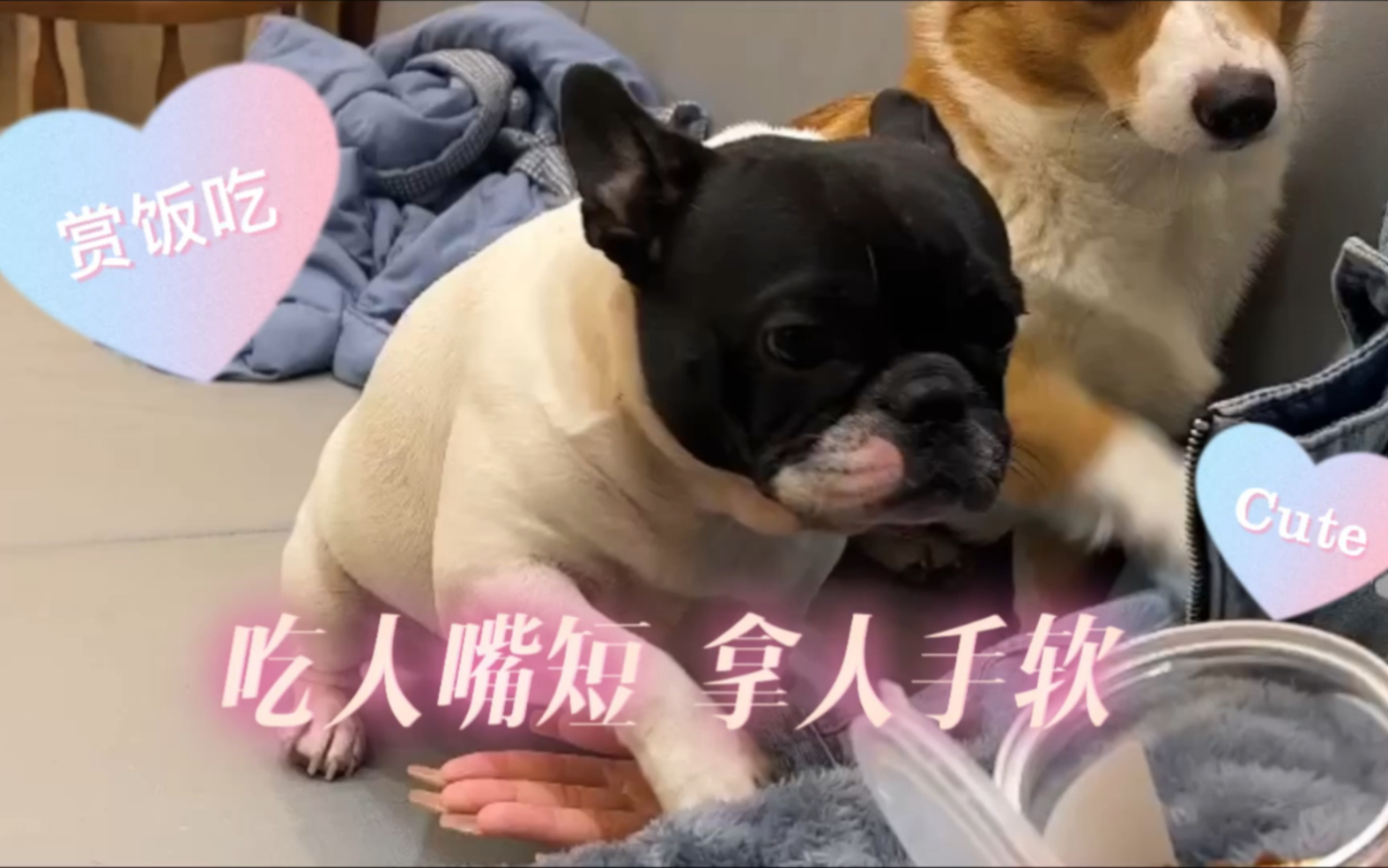 吃人嘴短,拿人手短 !命苦啊 武汉/家长