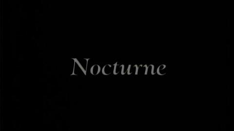 DIE IN CRIES Nocturne（PV）