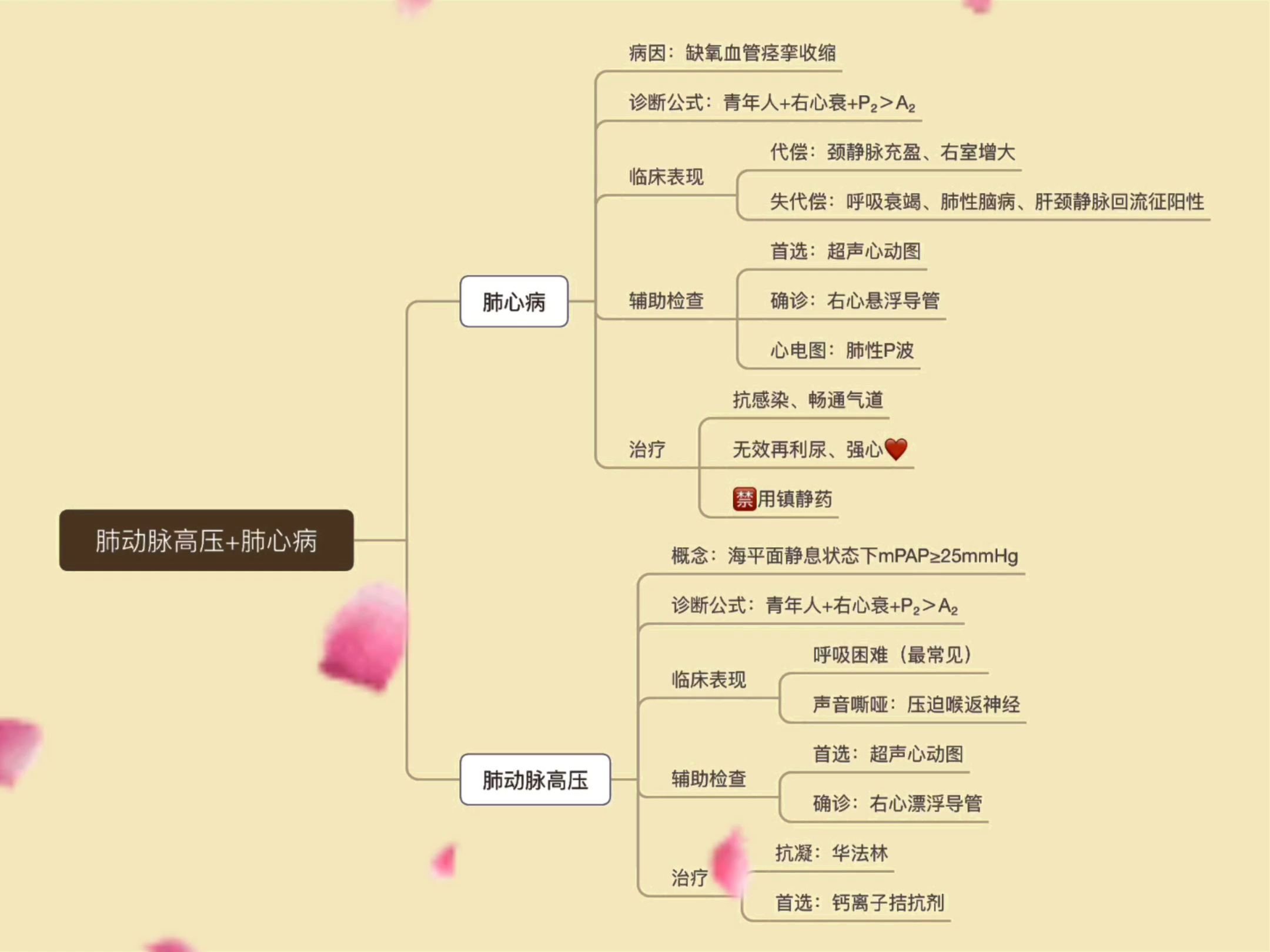 呼吸系统——肺动脉高压 肺心病(知识卡片)