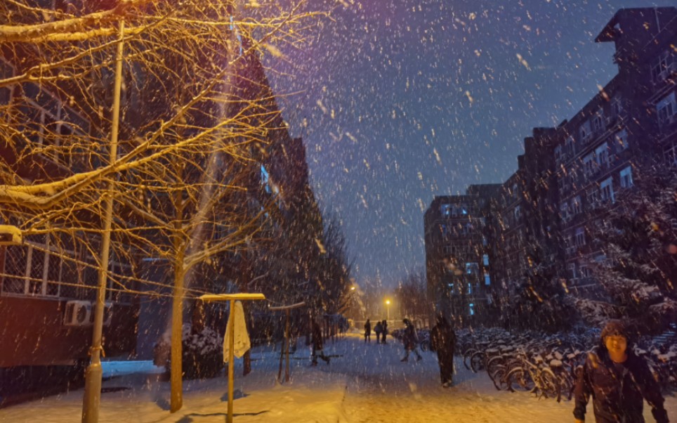 路灯映衬的雪夜