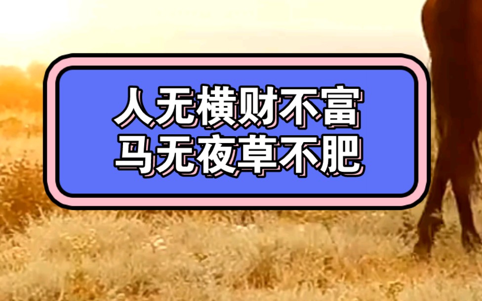 人无横财不富,马无夜草不肥