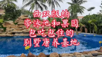 下载视频: 西双版纳，免费泳池和果园采摘，包吃包住的别墅康养基地。