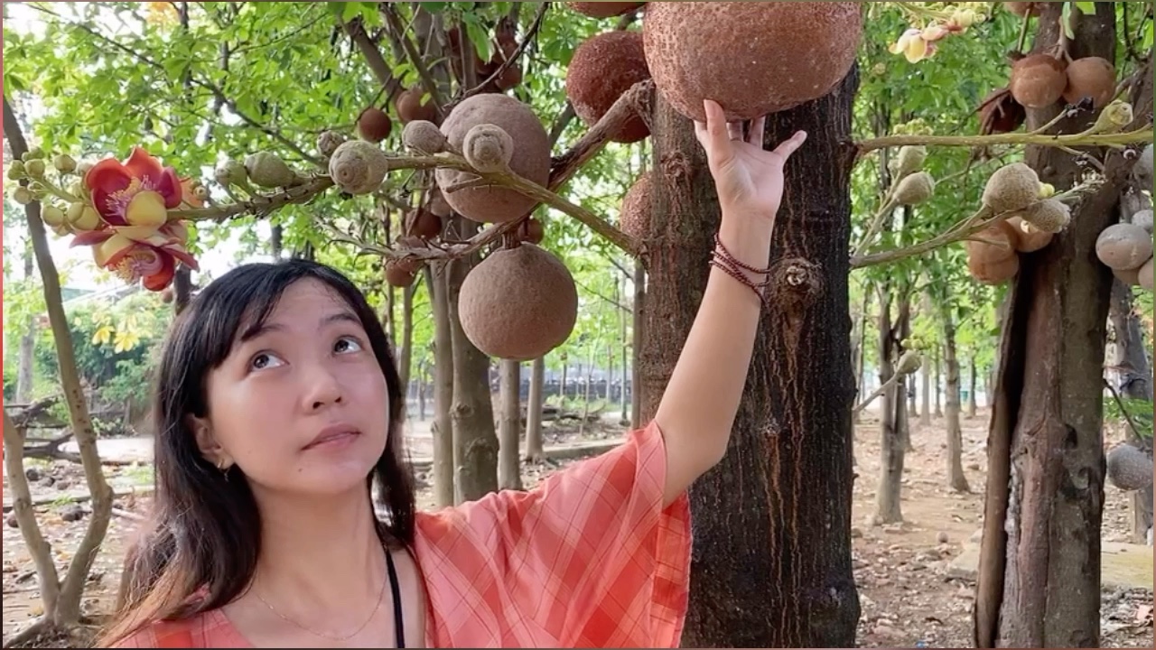 [图]越南雨季来临的第一场雨dem lao xao-phuong Thanh