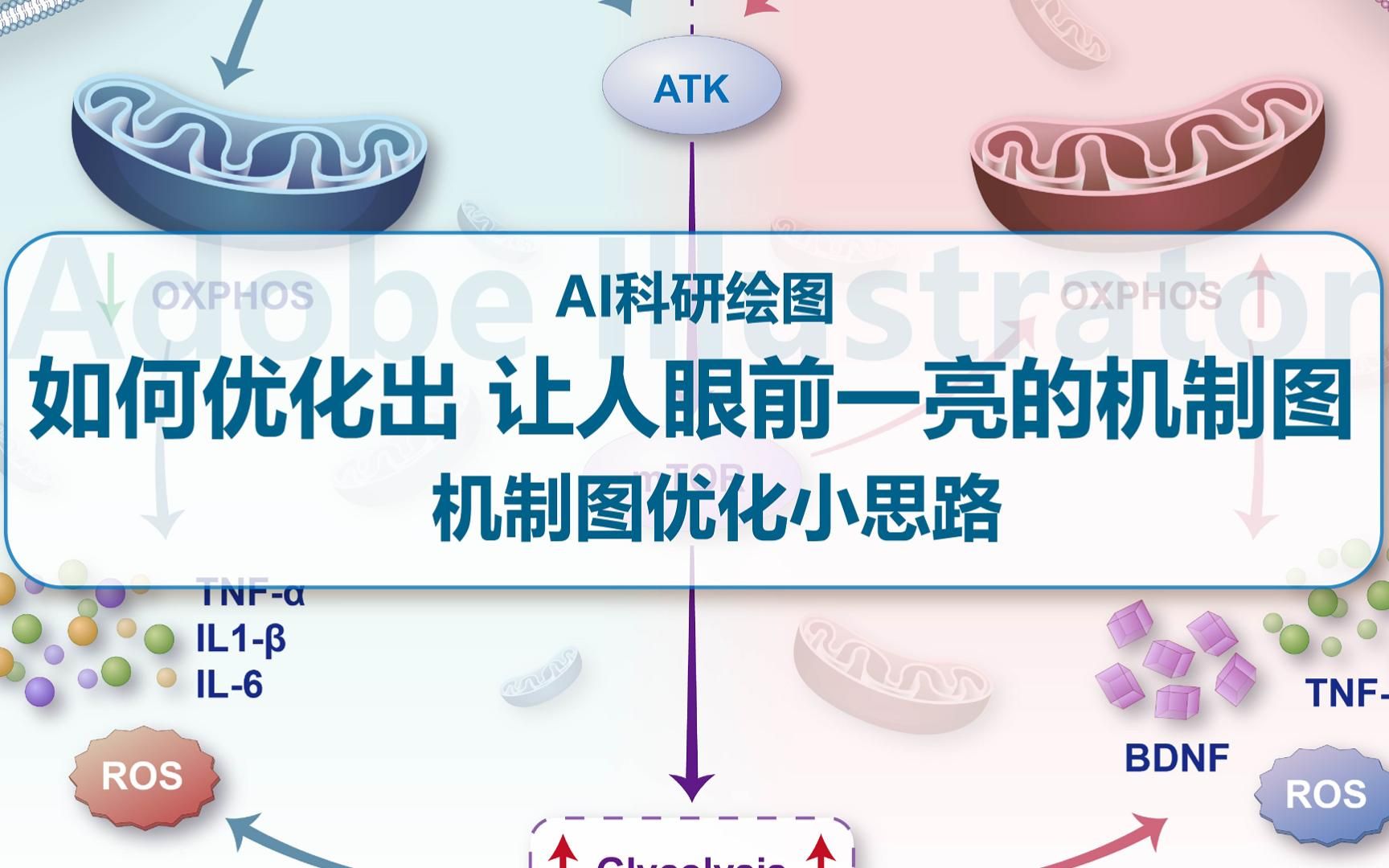 【FigDraw】如果优化出让人眼前一亮的机制图~如何使用AI画出立体的效果?机制图优化过程小思路第三期~~哔哩哔哩bilibili