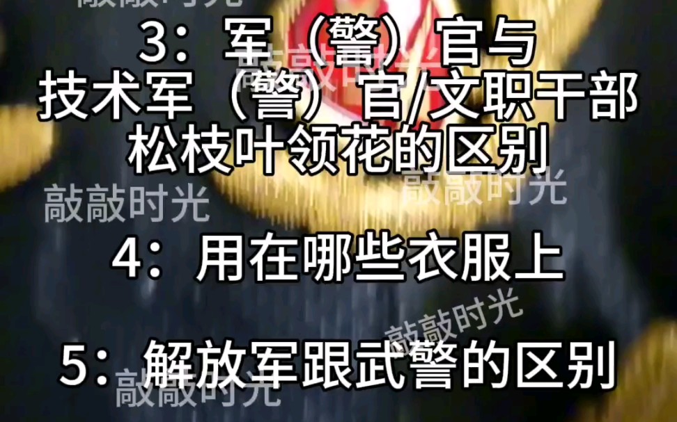 关于07式松枝叶领花的基础知识,解放军与武警,士兵与军(警)官、技术军(警)官、文职干部.哔哩哔哩bilibili