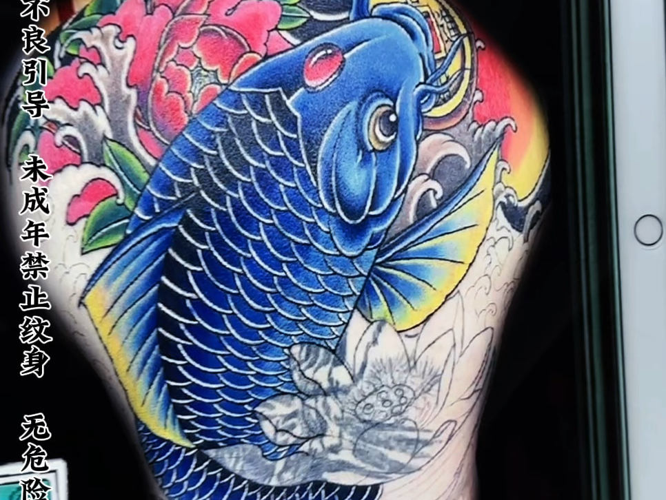 满背鲤鱼修改遮盖