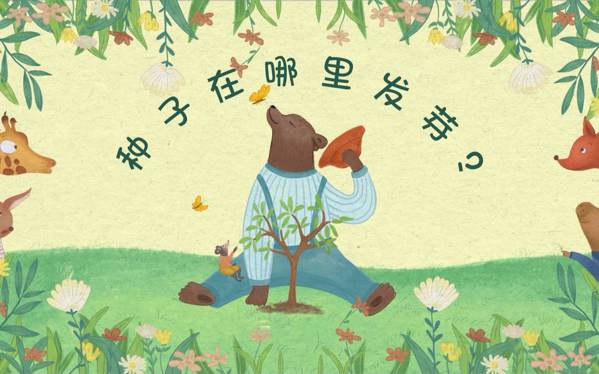 儿童绘本《种子在哪里发芽?》mp4