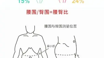 Tải video: 体脂率，BMI，腰臀比对比一下自己的差距在哪里