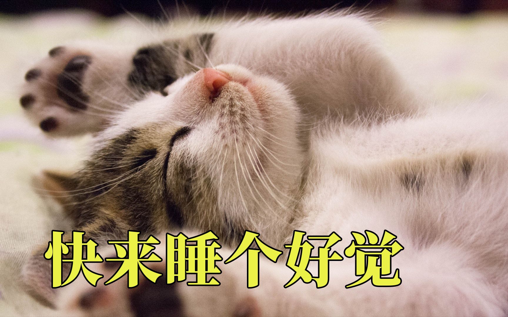 《睡个好觉》