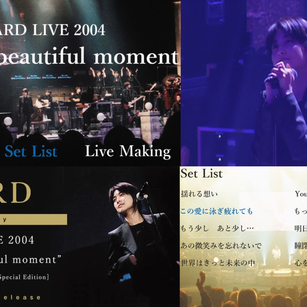 ZARD/坂井泉水(本名:蒲池幸子) LIVE 2004 What a beautiful 