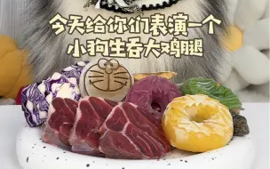 小狗生吞大鸡腿 咀嚼音…