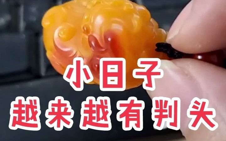 犯罪的边缘疯狂试探哔哩哔哩bilibili