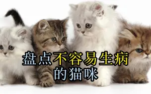 Download Video: 盘点不容易生病的猫咪