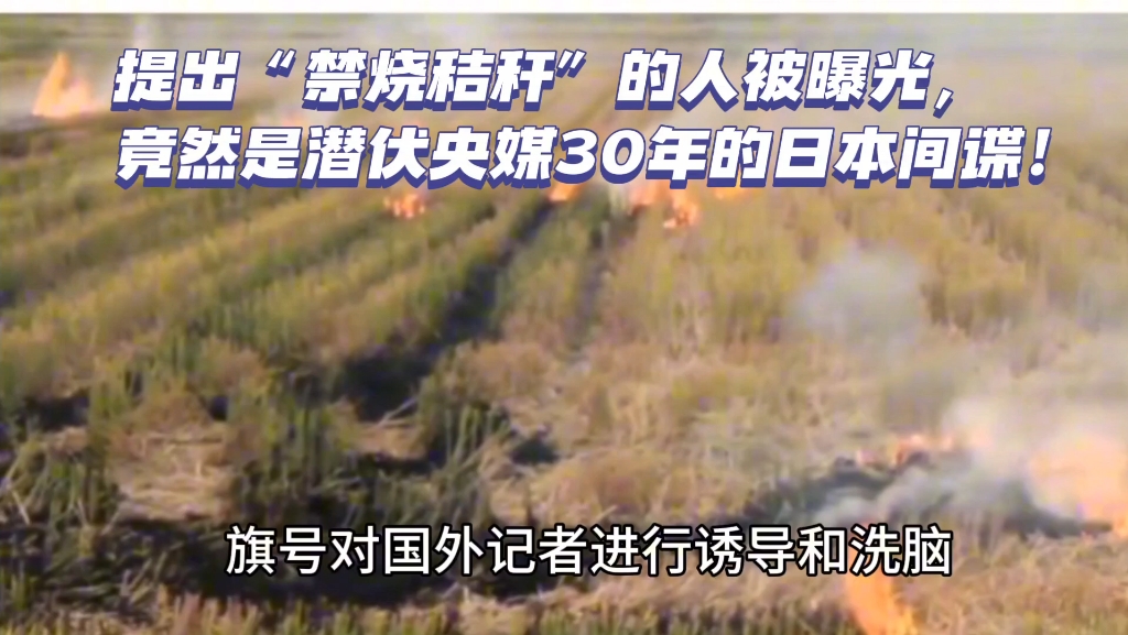 提出"禁烧秸秆"的人被曝光,竟然是潜伏央媒30年的日本间谍!