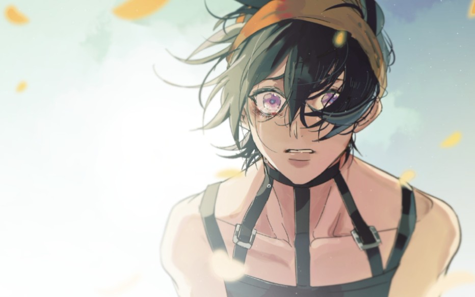 jojo纳兰迦听说你也喜欢小飞机