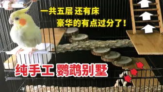 【手工】纯手工改造鹦鹉别墅，一共五层还有床，豪华的有点过分了