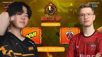 Download Video: NAVI (QueeN Walkers) vs TRIBE GAMING. FCL决赛