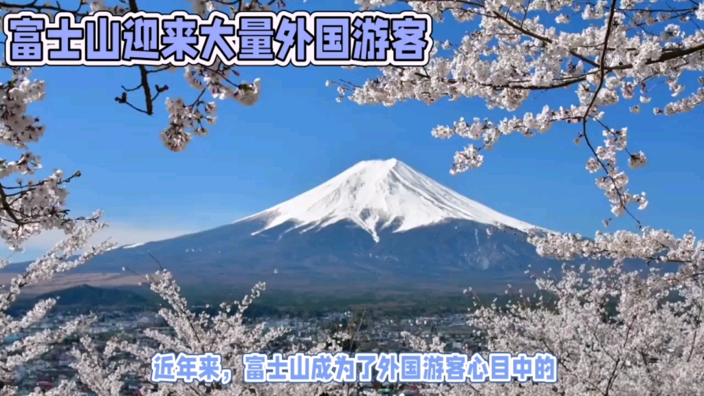 富士山迎来大量游客哔哩哔哩bilibili