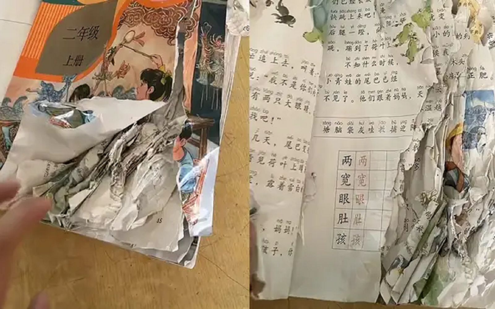 小学生上课"吃书", 新课本全咬坏!这是要把知识吃进肚里?
