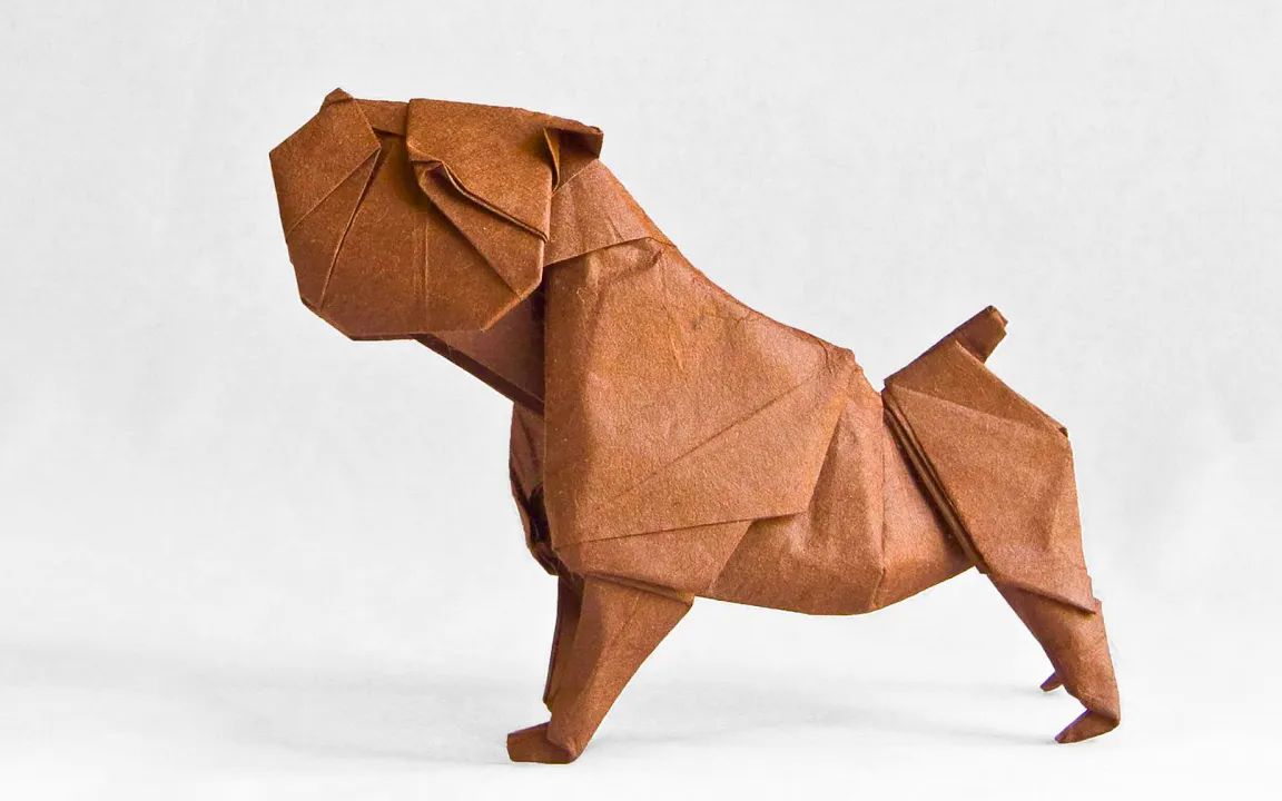 jms origami  斗牛狗折纸教程origami bulldog by quentin