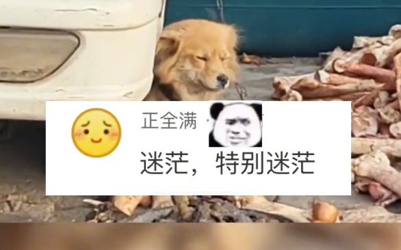 这个就叫专业哔哩哔哩bilibili