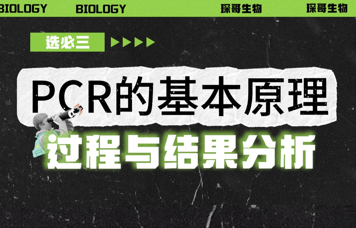 【基因工程】PCR的过程和结果分析,生物救星带你kuku提分!哔哩哔哩bilibili