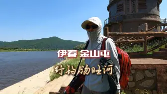 Download Video: 打卡金山屯，绿色的金祖峰环绕着奔流的汤旺河，意外的钓了一天鱼