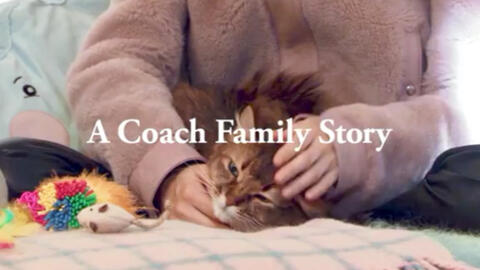 水原希子 水原佑果 Kiko Mizuhara Yuka Mizuhara For Coach Family Fall 哔哩哔哩