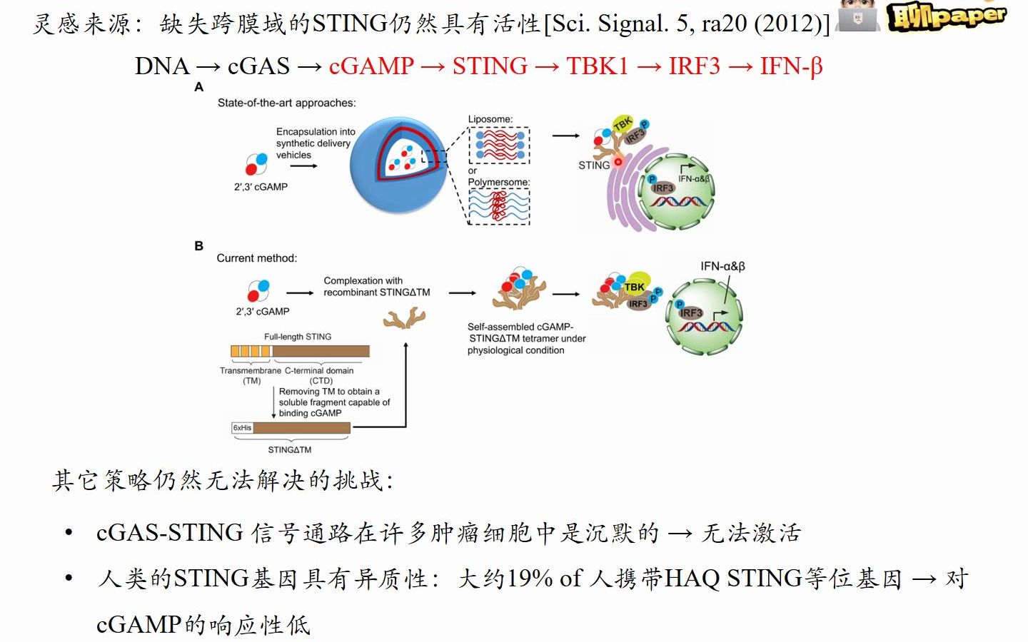 [图]【科学进展】cGAS-STING信号通路在肿瘤免疫治疗中的研究