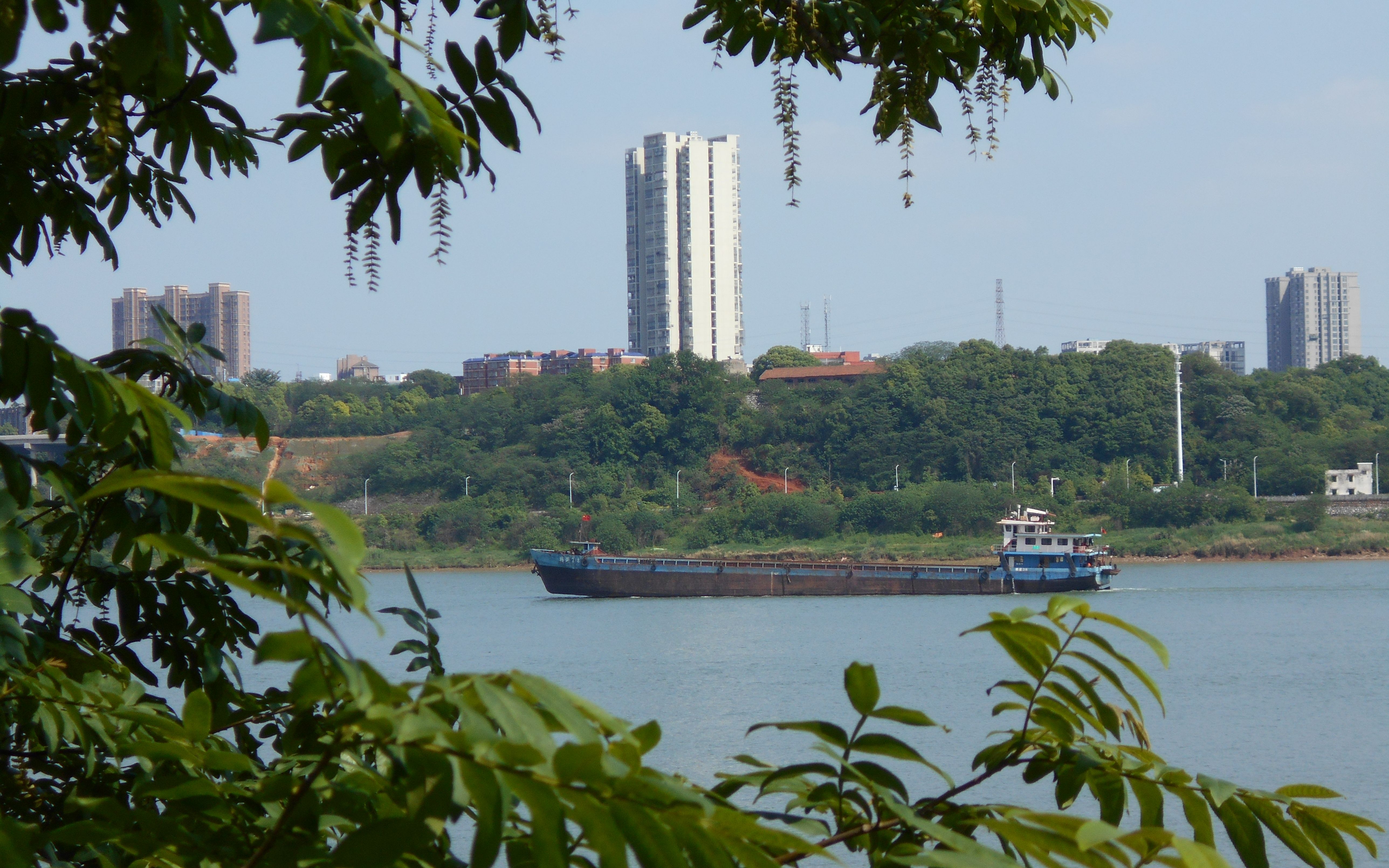 湘潭市岳塘区政府河边的草坪