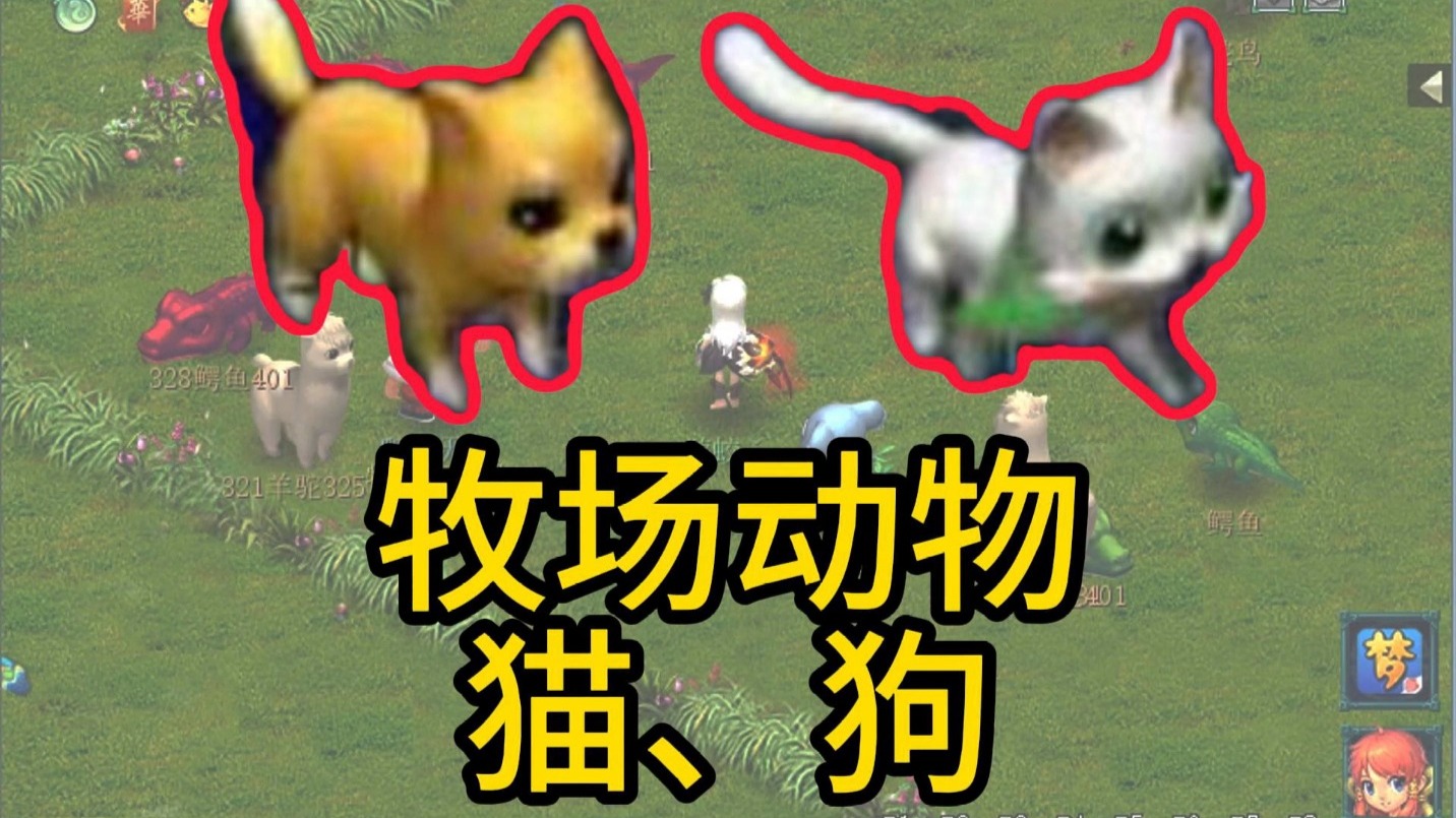 哺乳动物-小猫、小狗