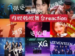 Download Video: 【舞台reaction】内娱韩娱舞台大杂烩！我生性爱舞台罢了