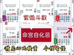 Download Video: 《命宫自化忌》做事情三分钟热度，紫微斗数实战学员命盘教学