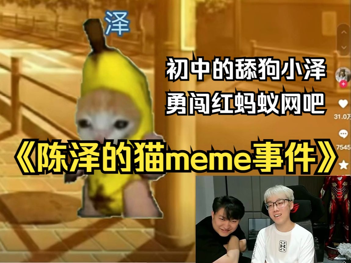 陈泽的猫meme,幼年小泽勇闯红蚂蚁网吧,初中舔狗事件哔哩哔哩bilibili