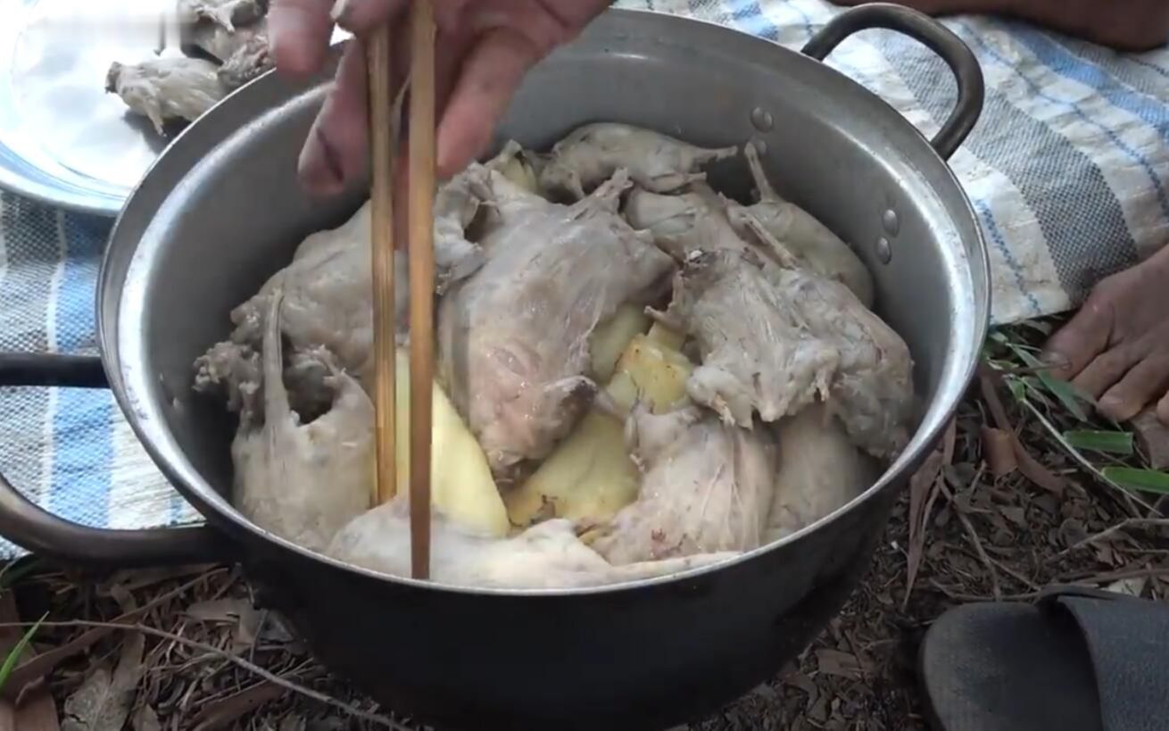 《舌尖上的越南》原只田鼠蒸木薯鲜嫩多汁 , 现烤田鼠味道超级正点 !