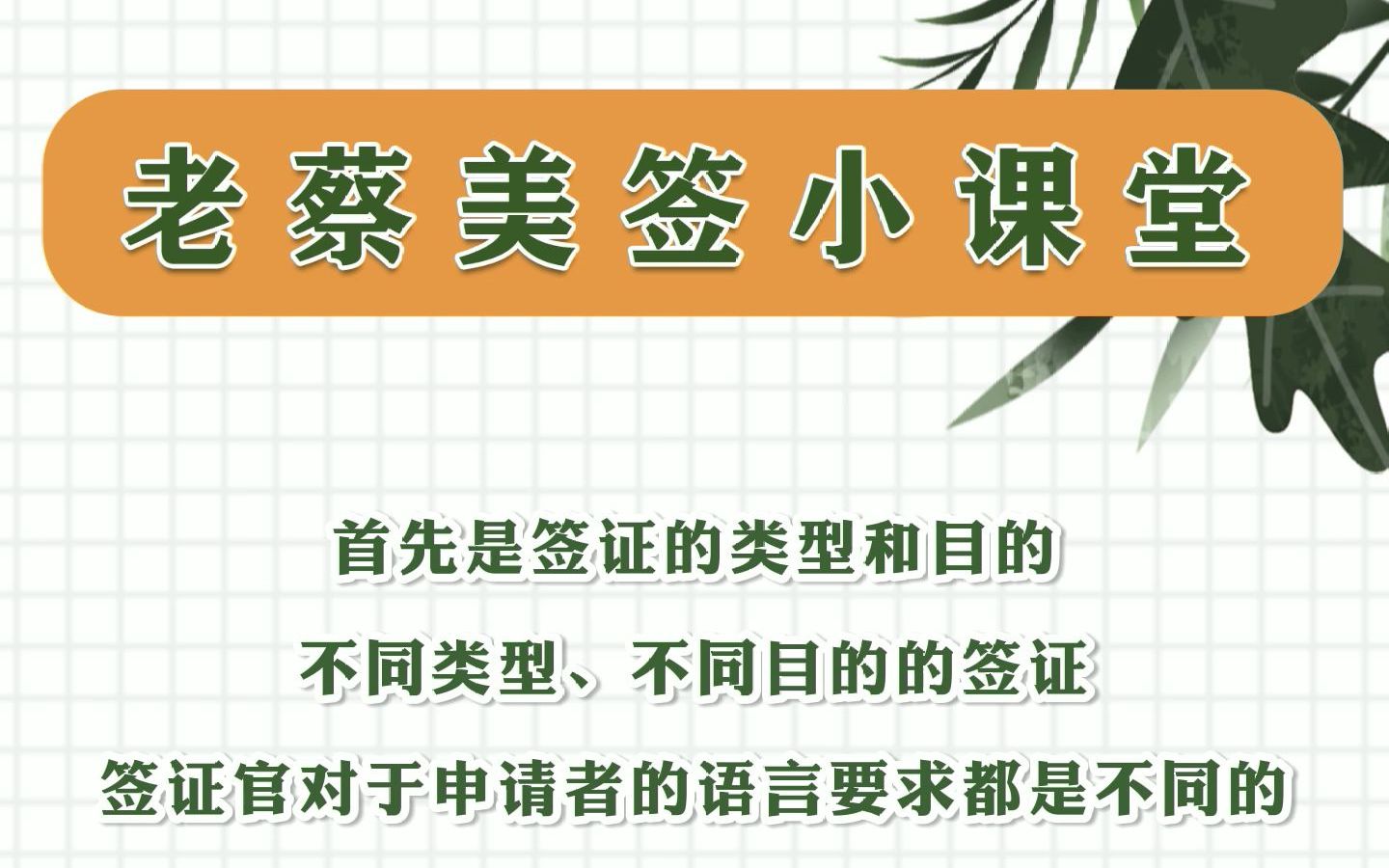 专家告诉你美国签证面签时,到底要不要说英语?哔哩哔哩bilibili