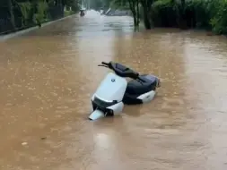 Скачать видео: ＃日照九号 某迪疯了，九号当船使