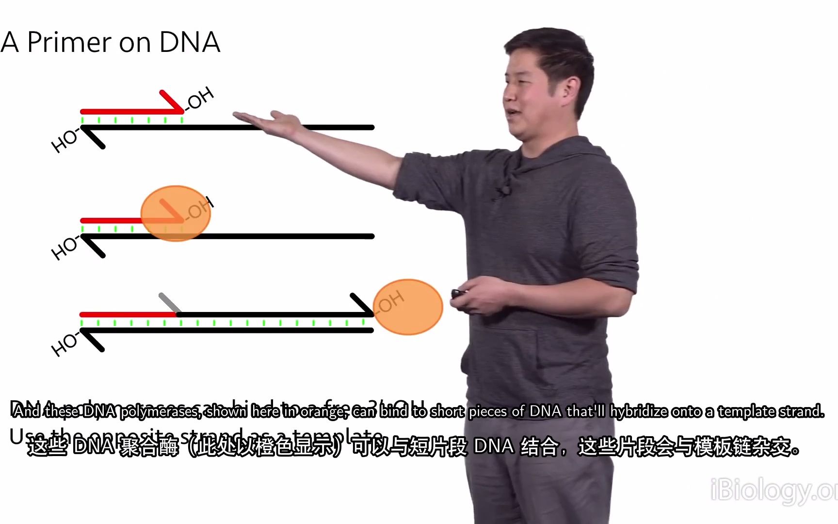 二代测序 1:概述  Eric Chow (UCSF)哔哩哔哩bilibili