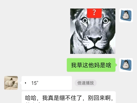 KK变声器受害者＋1