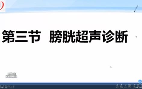 膀胱解剖+检查技术及正常超声表现哔哩哔哩bilibili