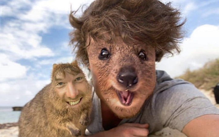 梗图合集01男人的快乐其实很简单网络上那些让人笑出声的沙雕图xd