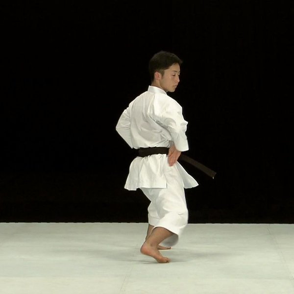 Kihon Kata #2 Heian Sandan of Shito 空手道形教範糸東流（基本形二