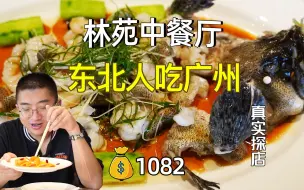 Download Video: 东北人在广州吃什么？林苑中餐厅，1082￥。