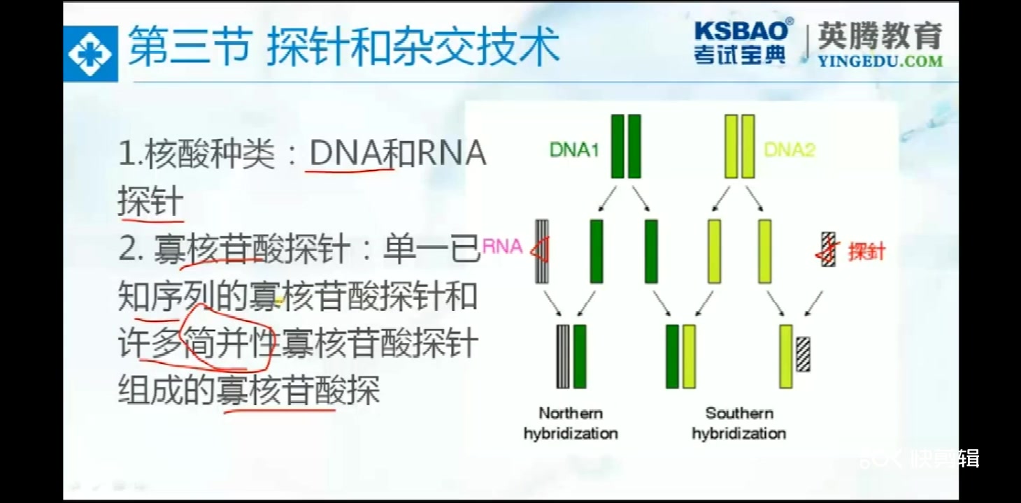 [图]微生物检验技术 第六章 核酸检验基本技术